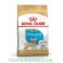 Royal Canin Chihuahua Puppy 1,5 kg
