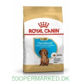 Royal Canin Dachshund Puppy 1,5 kg