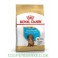 Royal Canin Dachshund Puppy 1,5 kg