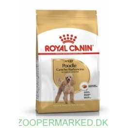 Royal Canin Poodle Adult 1,5 kg 