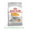 Royal Canin Coat Care Mini 3 kg