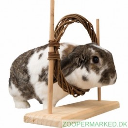 Agility S&aelig;t med forhindring og ring