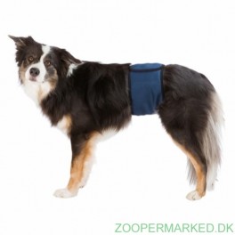 Maveb&aelig;lte til hanhunde