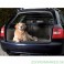 Hundegitter, Teleskop