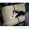 Bilsædetæppe 2