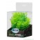 Premium Plastplante Mini 8-14 cm RP203