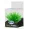 Premium Plastplante Mini 8-14 cm RP207