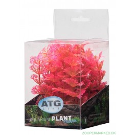 Premium Plastplante Mini 8-14 cm RP208