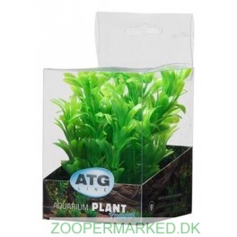 Premium Plastplante Mini 8-14 cm RP216