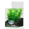 Premium Plastplante Mini 8-14 cm RP216