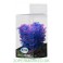 Premium Plastplante Mini 8-14 cm RP214