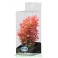 Premium Plastplante Small 18-25 cm RP301