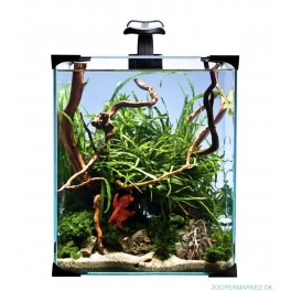 NANO AKVARIE 30X30X35 CM. 31 LTR.