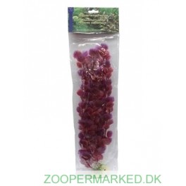 Plastplante Bacopa Colorata 40 cm