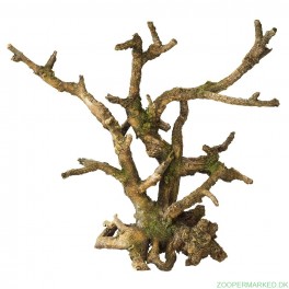 Aquadella Bonsai M
