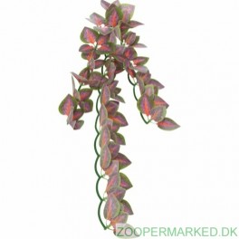 SILKEPLANTE, PERILLABLAD 30 CM