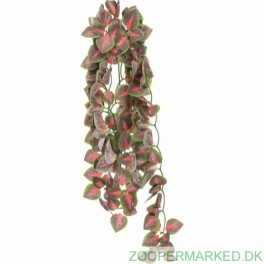 SILKEPLANTE, PERILLABLAD 50 CM