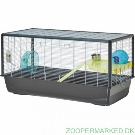 HAMSTER PLAZA KNOCKOUT DOWN 