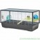 HAMSTER PLAZA KNOCKOUT DOWN 