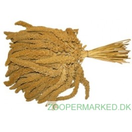 Hirse kolber 1 kilo.