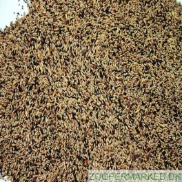 Natural Kanarie Lux 5 kg