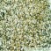 Natural Parakit & Papegøje 1 kg