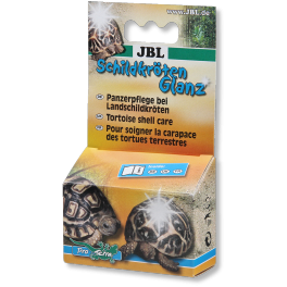 Skildpaddeglans til landskildpadder