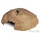 ExoTerra Reptil Hule, x-Large
