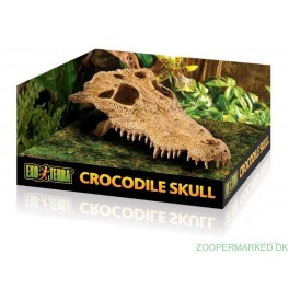 ExoTerra Krokodille kranie