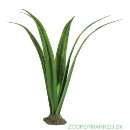 ExoTerra Pandanus