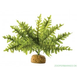 ExoTerra Boston fern S