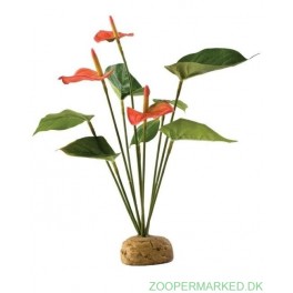ExoTerra Anthurium bush