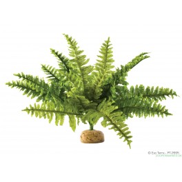 ExoTerra Boston fern M