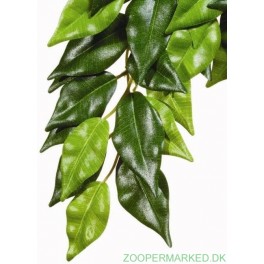 ExoTerra, Ficus, Medium Silkeplante