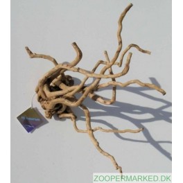 Desert root til terrariet 15-30 cm
