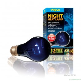 Exo Terra Night Glo 75 watt