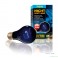 Exo Terra Night Glo 75 watt