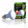 ExoTerra SunGlo Daylight 50 w
