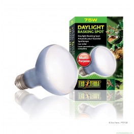 ExoTerra SunGlo Daylight 75 w