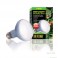 ExoTerra SunGlo Daylight 75 w