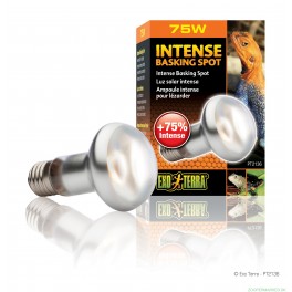 ExoTerra Sun Glo Tight Spot 75 W. UVA