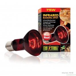 ExoTerra Heat Glo Infrar&oslash;d 75 W. spot 