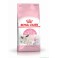 Royal Canin Mother and Babycat 4 kg
