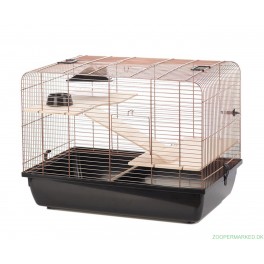 GNAVERBUR KOBBER REX 2 58X38X43CM