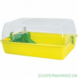 RODY HAMSTER