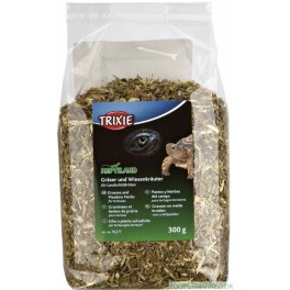 GR&AElig;S OG ENGURTER til Landskildpadder (herbivor)