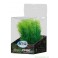 Premium Plastplante Mini 8-14cm RP201