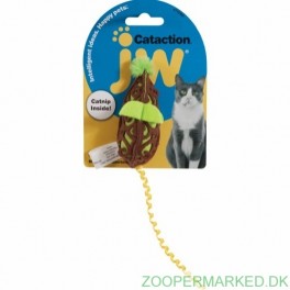 Mus m. catnip