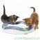 CatIt Senses Speed Circuit