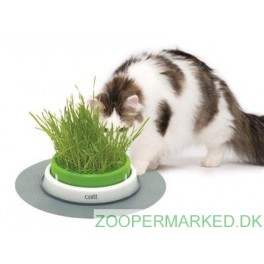 CatIt Senses Grass Planter